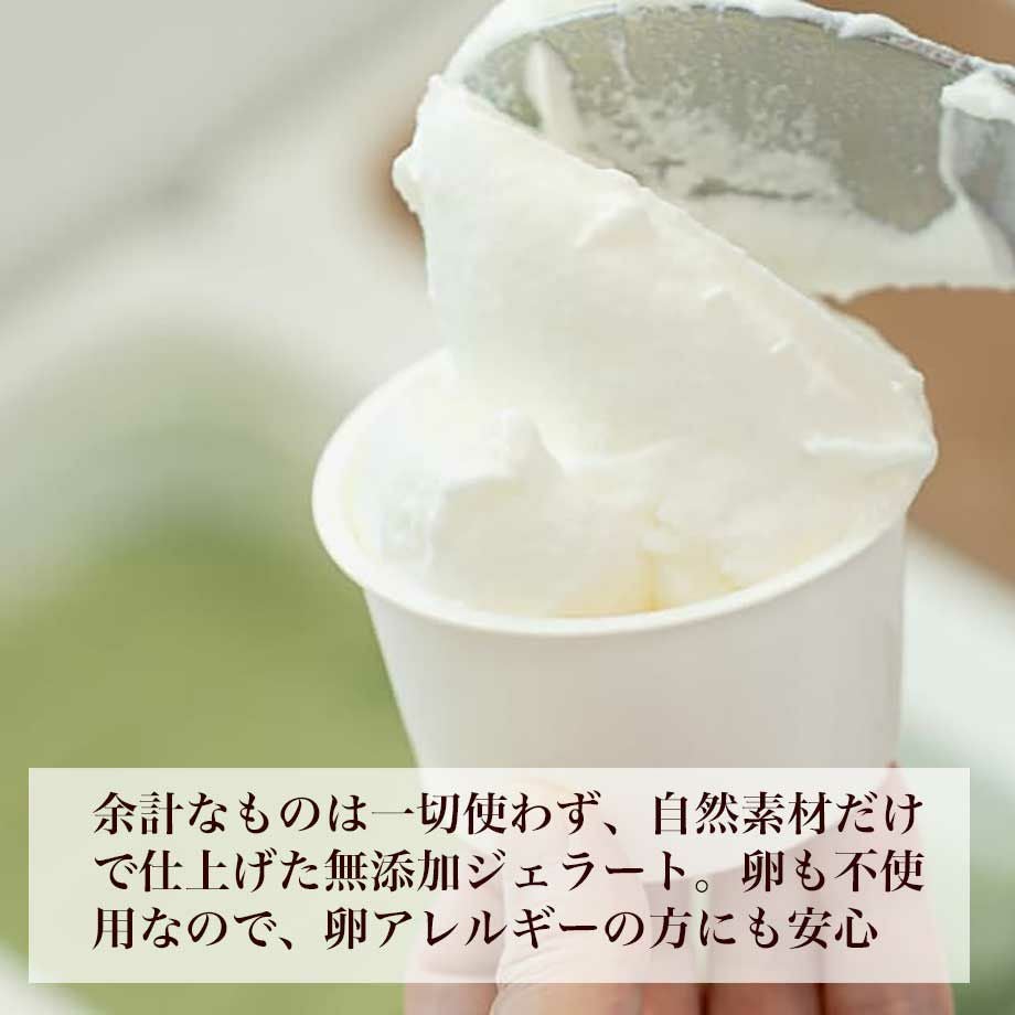 クリスマスジェラートケーキ 無添加 卵不使用 冷凍 直送