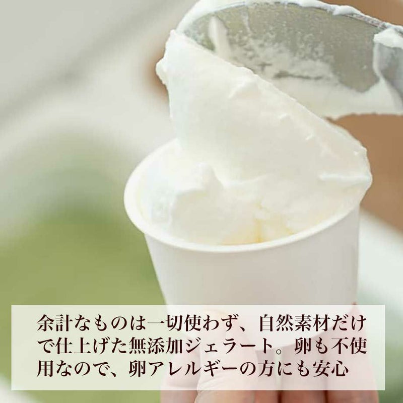 クリスマスジェラートケーキ 無添加 卵不使用 冷凍 直送