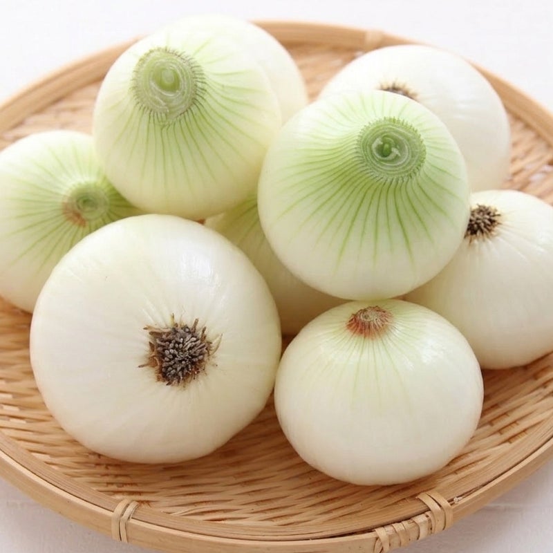 新たまねぎ 栽培期間中農薬不使用 熊本県産
