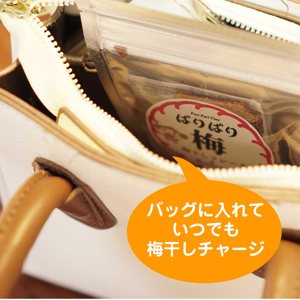 とってもすっぱい「白パリパリ梅」　15g